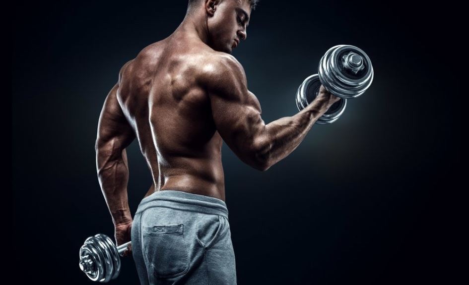 biceps exercises content