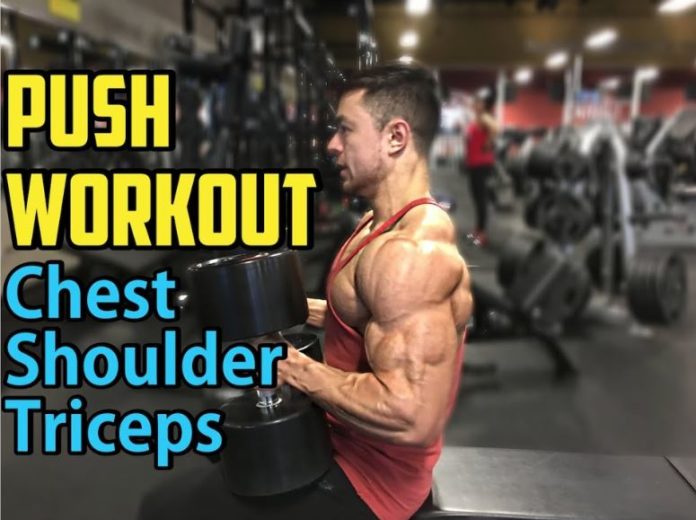 Push-Pull workout for beginners - Buildingbeast