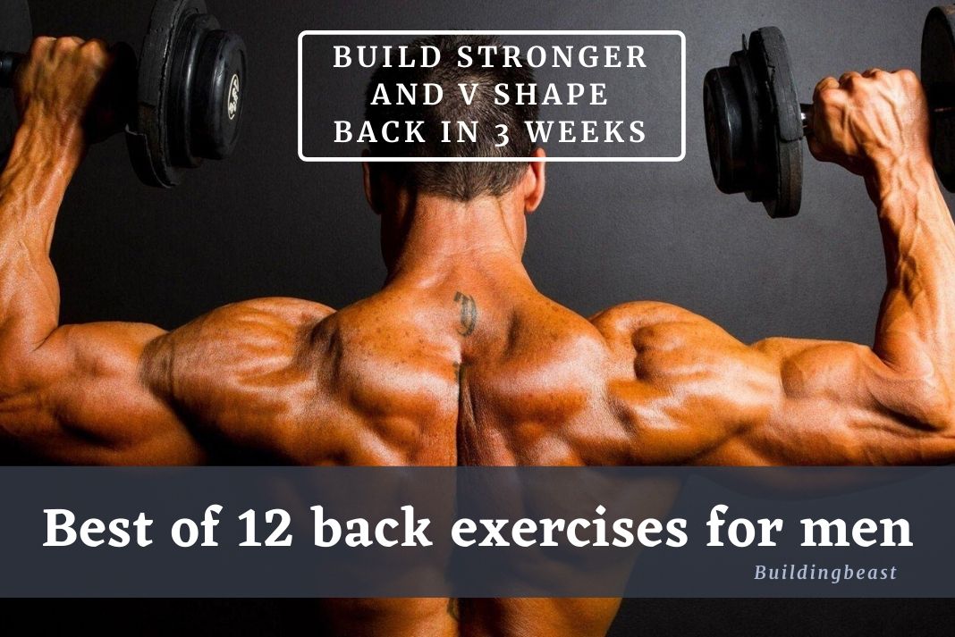 Top 12 chest exercises in 2020 2