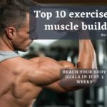 Top 12 chest exercises in 2020 3