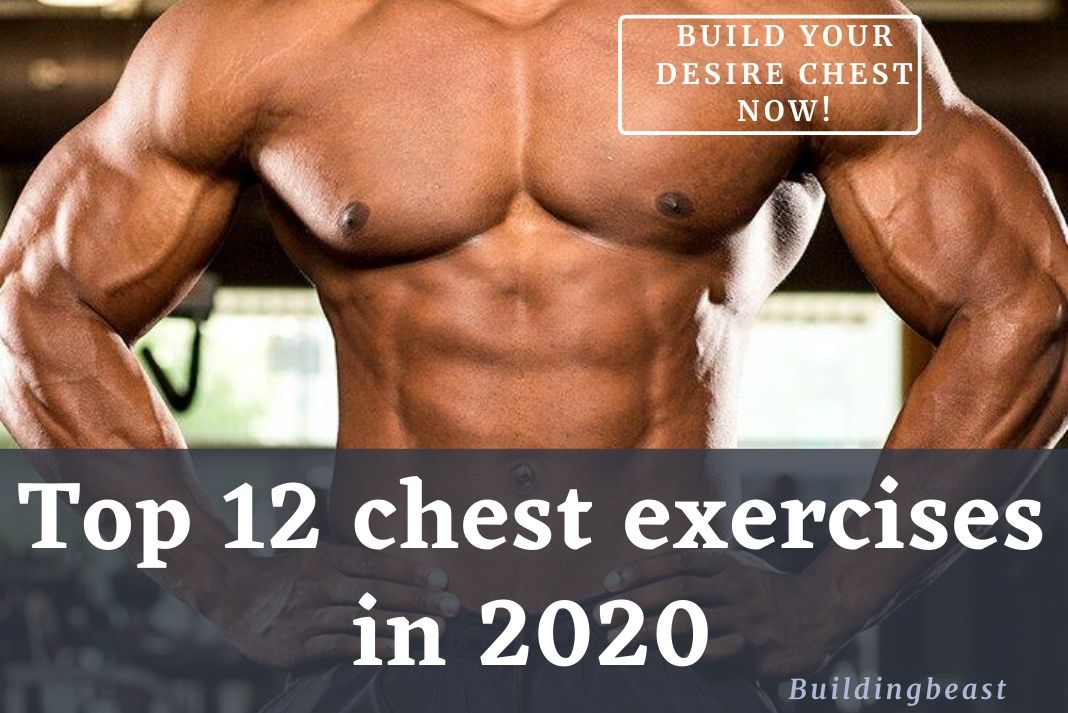Top 12 chest exercises in 2020