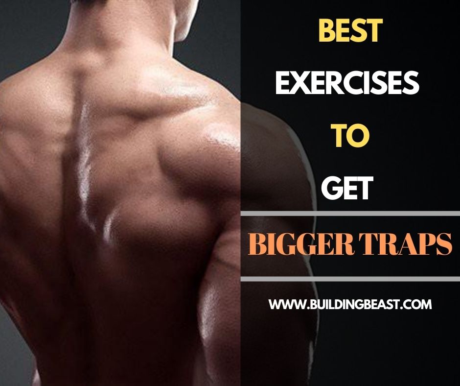 10 Best Traps Exercises For Men