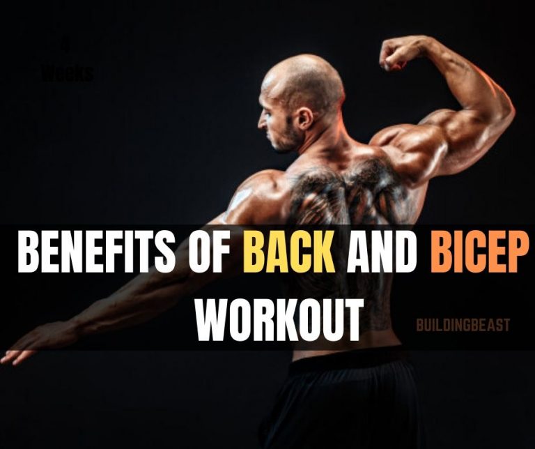 10 Best Back And Bicep Workout For Mass Buildingbeast