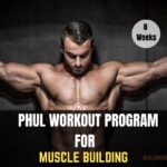 Phul workout plan for muscle building