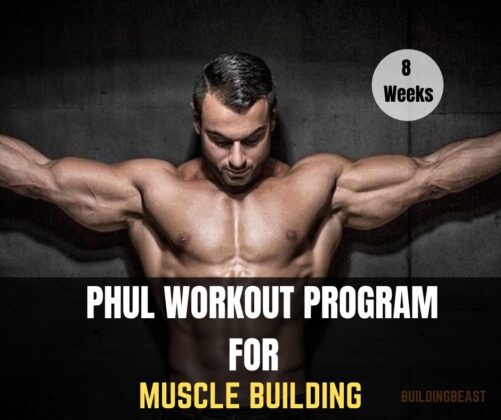 PHUL Workout Routine Program - Buildingbeast