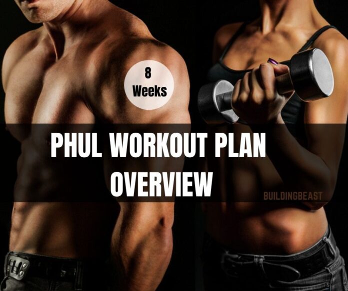 PHUL Workout Routine Program - Buildingbeast