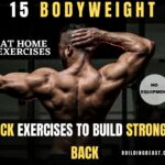 Bodyweight Back Exercises