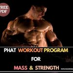 PHAT Workout Program