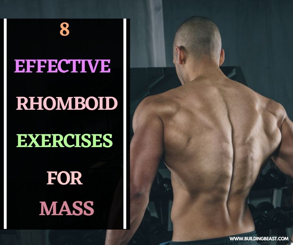 Top 8 Effective Rhomboid Exercises For Mass