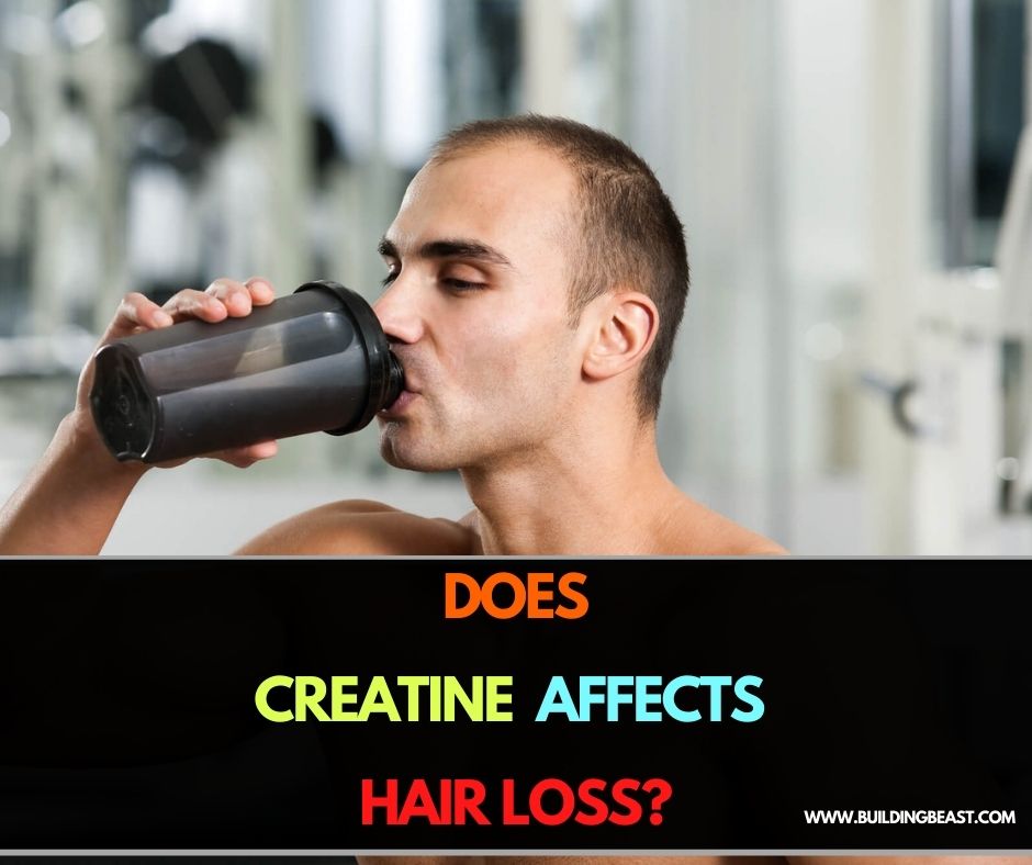 creatine affect hair loss