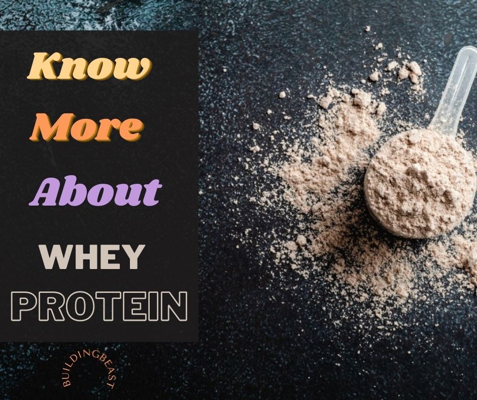 Know more about whey protein supplements