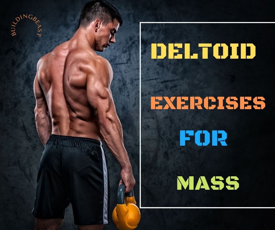 Deltoid Exercises to Build Massive Shoulders