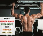 15 Best upper back exercises for muscle building