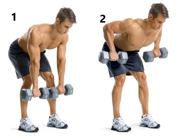 15 Best Upper Back Exercises For Muscle Building Buildingbeast